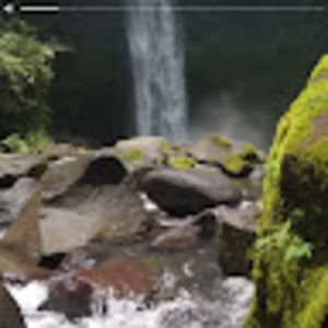 Meet your Posher, Joann